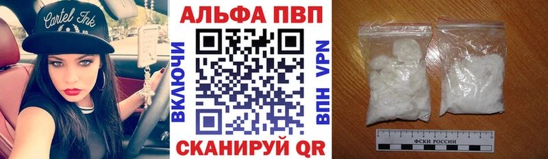 A PVP СК  Саранск 