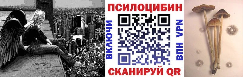 Псилоцибиновые грибы прущие грибы Саранск